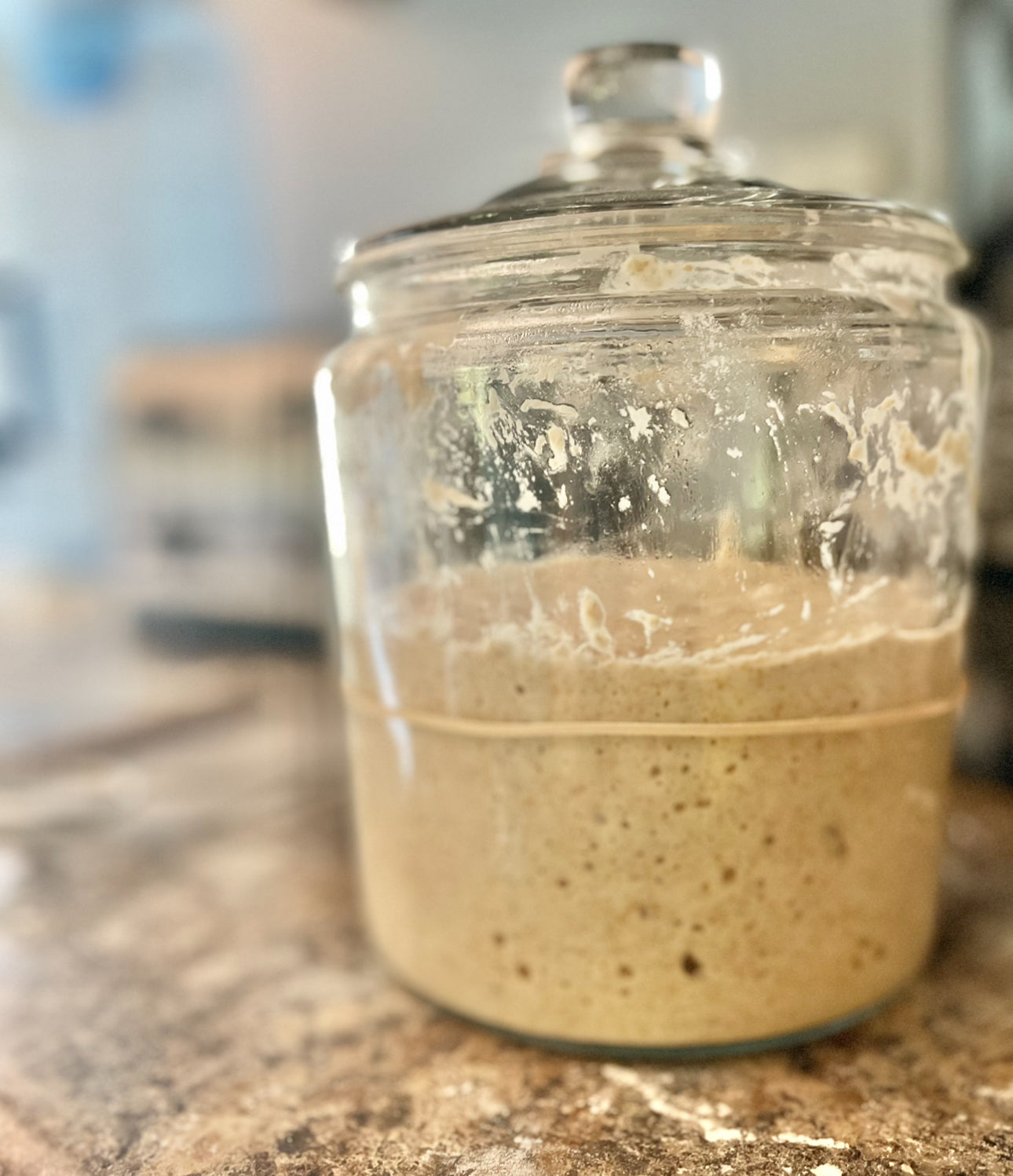 Amber Lynn's Dehydrated Sourdough Starter