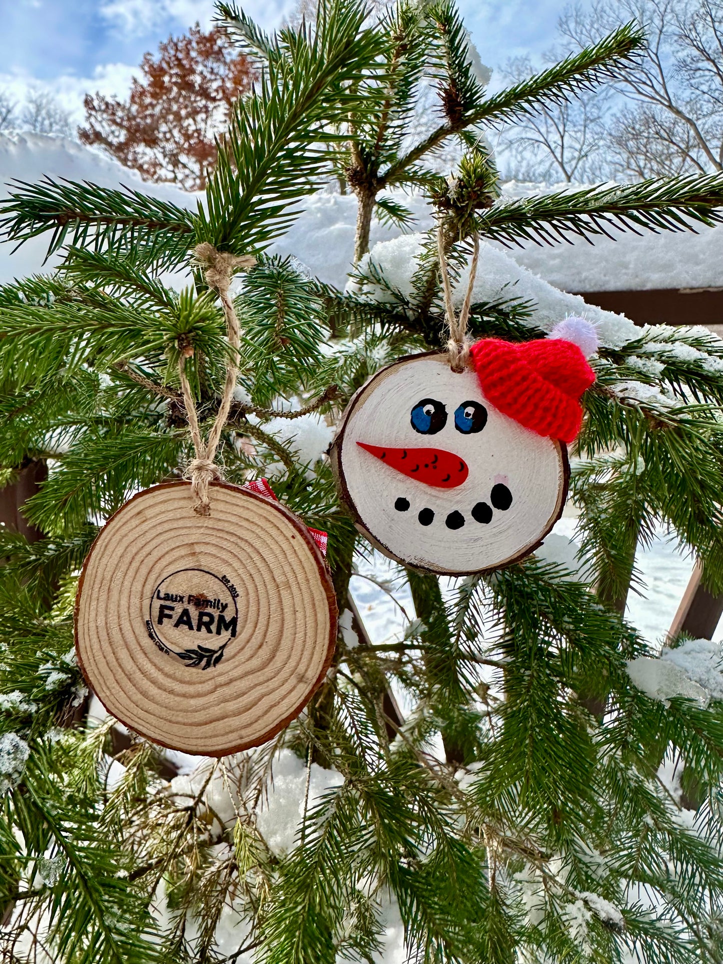 2025 Hand Painted Ornament